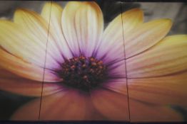 3 Piece Graphic Flower Wall Art Picture RRP £80 (18059) (Pictures Are For Illustration Purposes