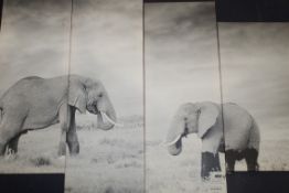 2 Elephant Photographic Multi Print On Canvas RRP £80 (Pictures Are For Illustration Purposes