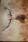 Mystic Stag Canvas Wall Art Picture RRP £60 (Pictures Are For Illustration Purposes Only) (