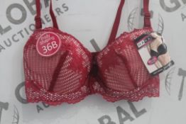 Lot To Contain 3 Packs Of 6 Burgundy Hana H6583 Ladies Bra's Sizes To Include 38B , 40 B , 42B , 44B