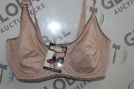 Lot To Contain 3 Packs Of 12 Beige Hana 1508 Ladies Bra's Sizes To Include 42D , 44D , 46D , 48D ,