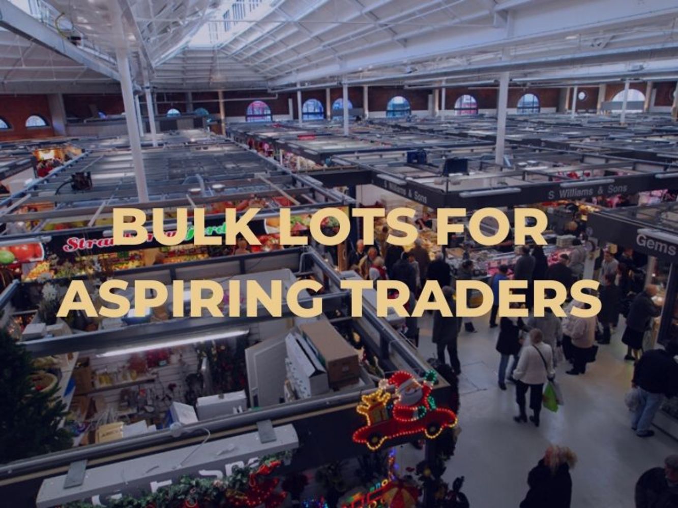 Bulk Lots For Aspiring Traders