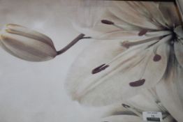 Floral 5 Piece Budding Canvas Wall Art Picture RRP £90 (Appraisals Are Available Upon Request)(