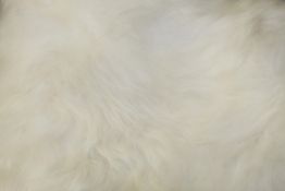 Buumdalover Faux Fur Sheepskin Rug RRP £95 (19265) (Appraisals Are Available Upon Request) (Pictures