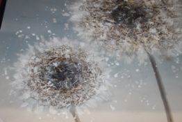 Dandelion Breeze Still Life Textured Wall Art Picture RRP £80 (Appraisals Are Available Upon