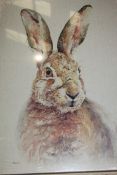 Spare Of The Rabbit Canvas Wall Art By Jane Bannon RRP £40 (1059) (Pictures Are For Illustration