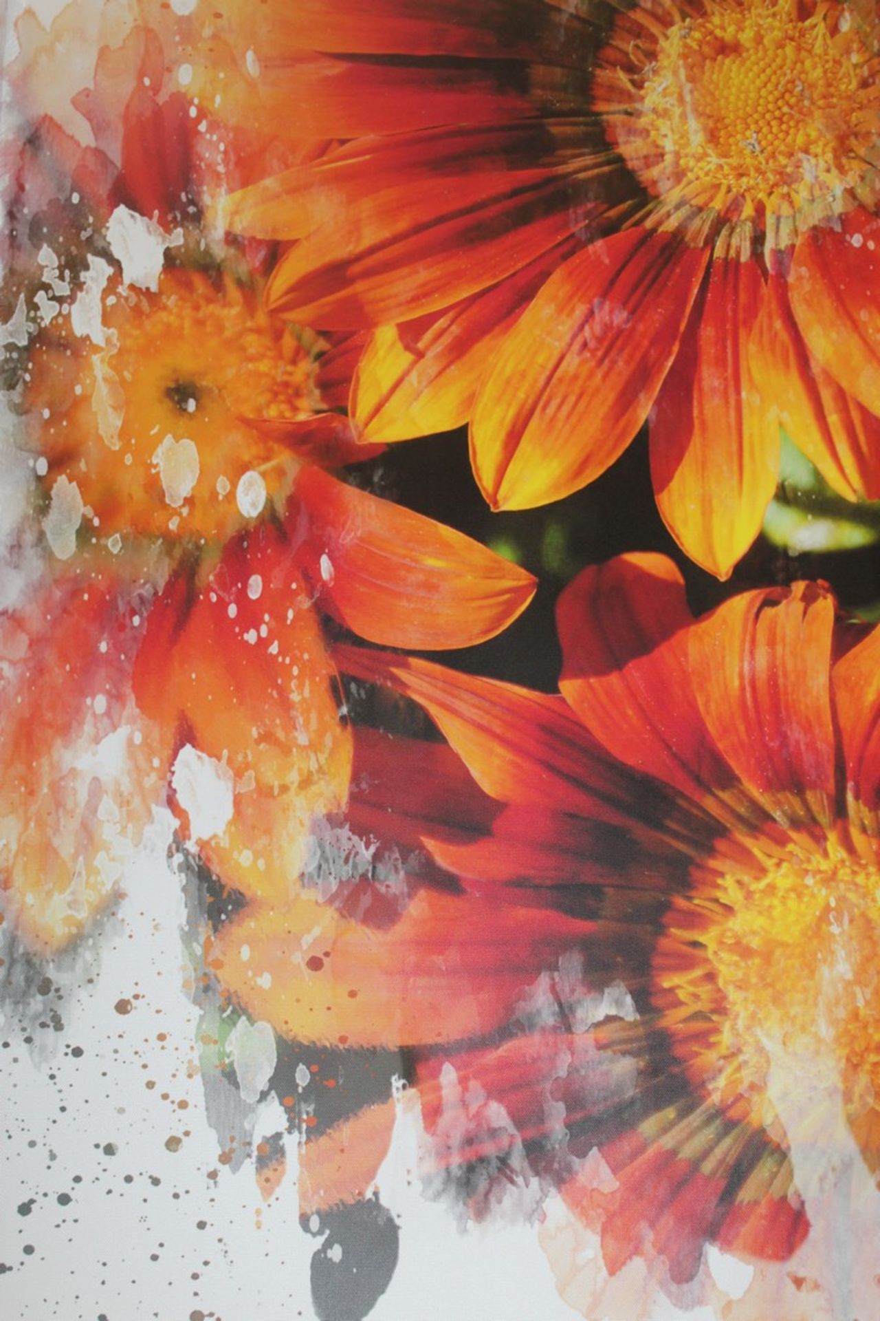 Floral Print Design Canvas Wall Art By Artist Herbert Gozemba RRP £65 (15514) (Pictures Are For