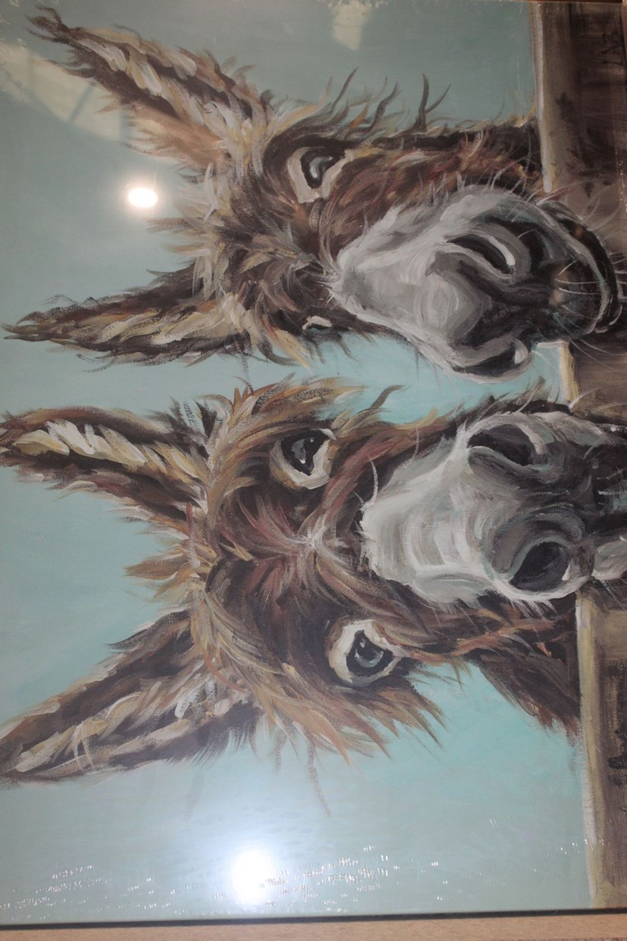 Double Trouble Dribbling Donkeys Print On Canvas By Louise Brown RRP £35 (18059) (Pictures Are For