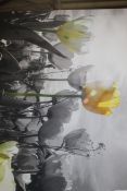 Beautiful Tulip Meadow Canvas RRP £55 (14591) (Pictures Are For Illustration Purposes Only) (