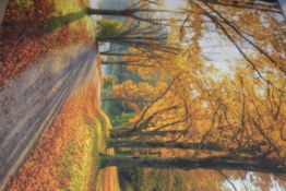 Stroll In The Sunny Park By The Lake Canvas Wall Art RRP £55 (15514) (Pictures Are For