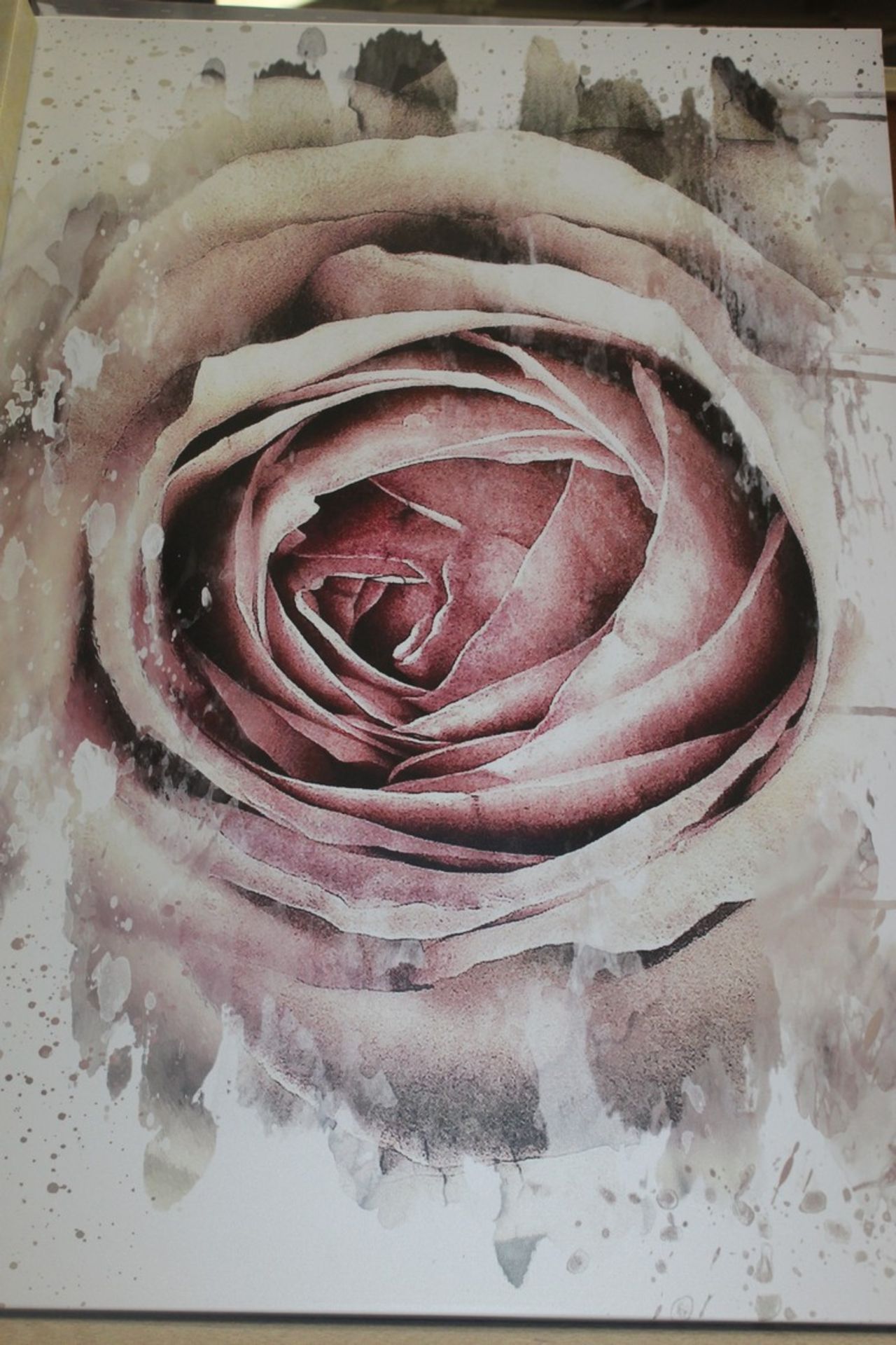 Large Pink Rose Flower Canvas RRP £65 (15514) (Pictures Are For Illustration Purposes Only) (