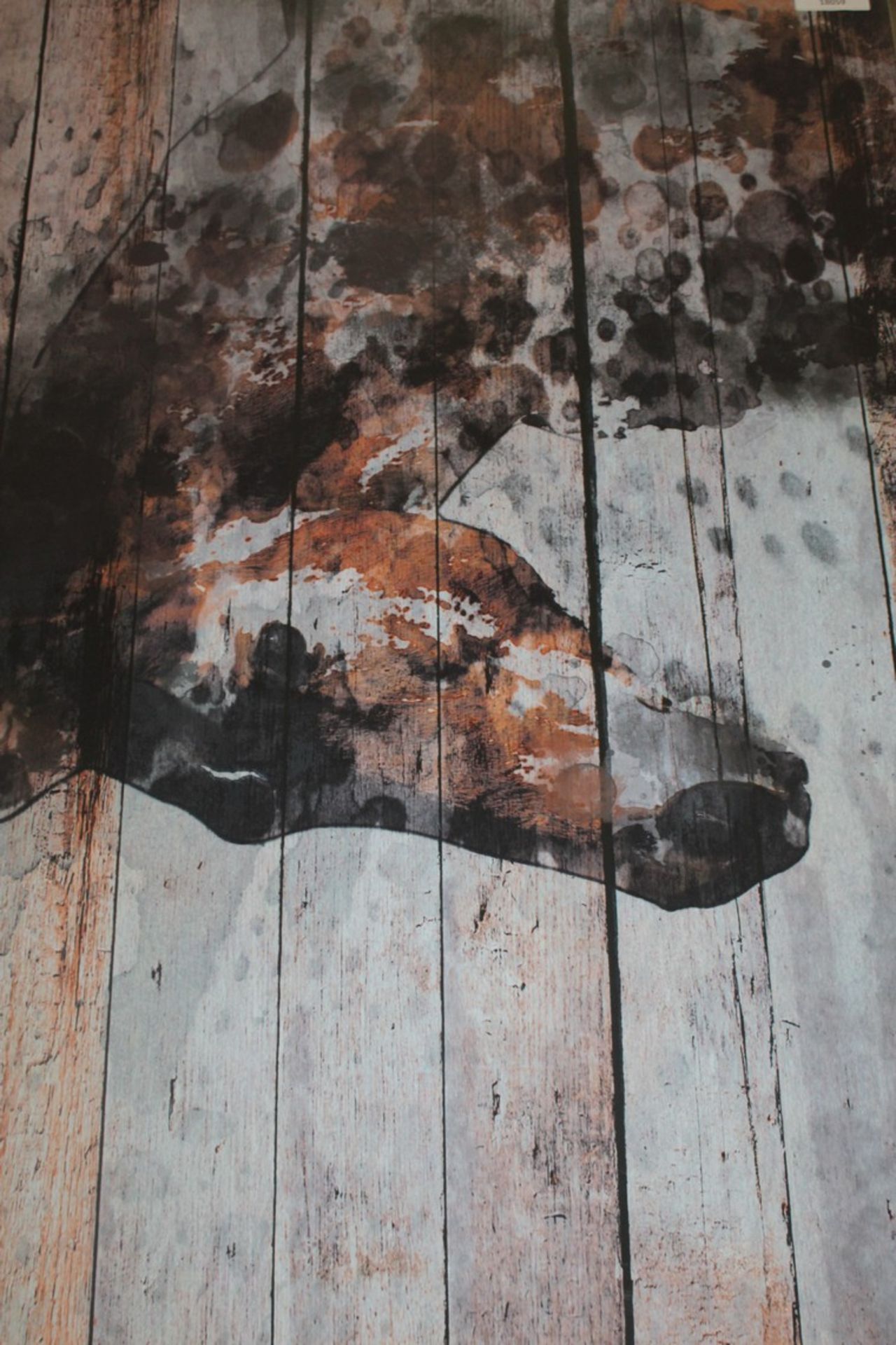 Splatter Of The Horse Canvas Print RRP £100 (18059) (Pictures Are For Illustration Purposes Only) (