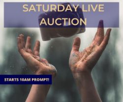 Saturday Live Mega Auction!