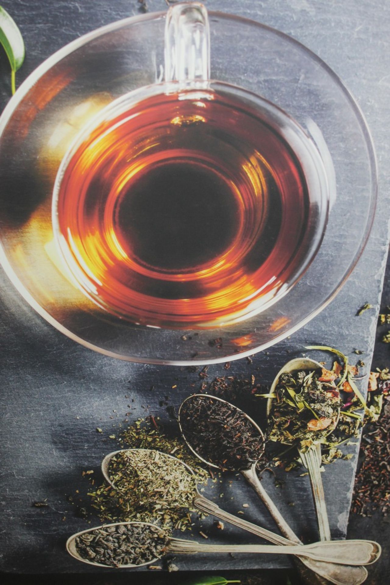 Herbal Tea Canvas