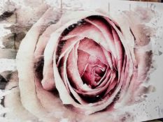 Pink Rose Canvas