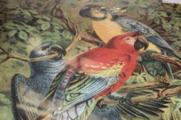 The Vintage Parrots Canvas By The Art Group Rrp £50 (18547)(Appraisals Available Upon Request) (