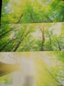 3 Piece Multi Sun Shining Over The Standing Trees Canvas Rrp ¬£100 (15782)(Appraisals Available Upon