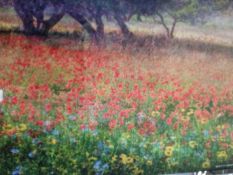 Vast Of Different Flowers In The Field Canvas Rrp ¬£55(Appraisals Available Upon Request) (