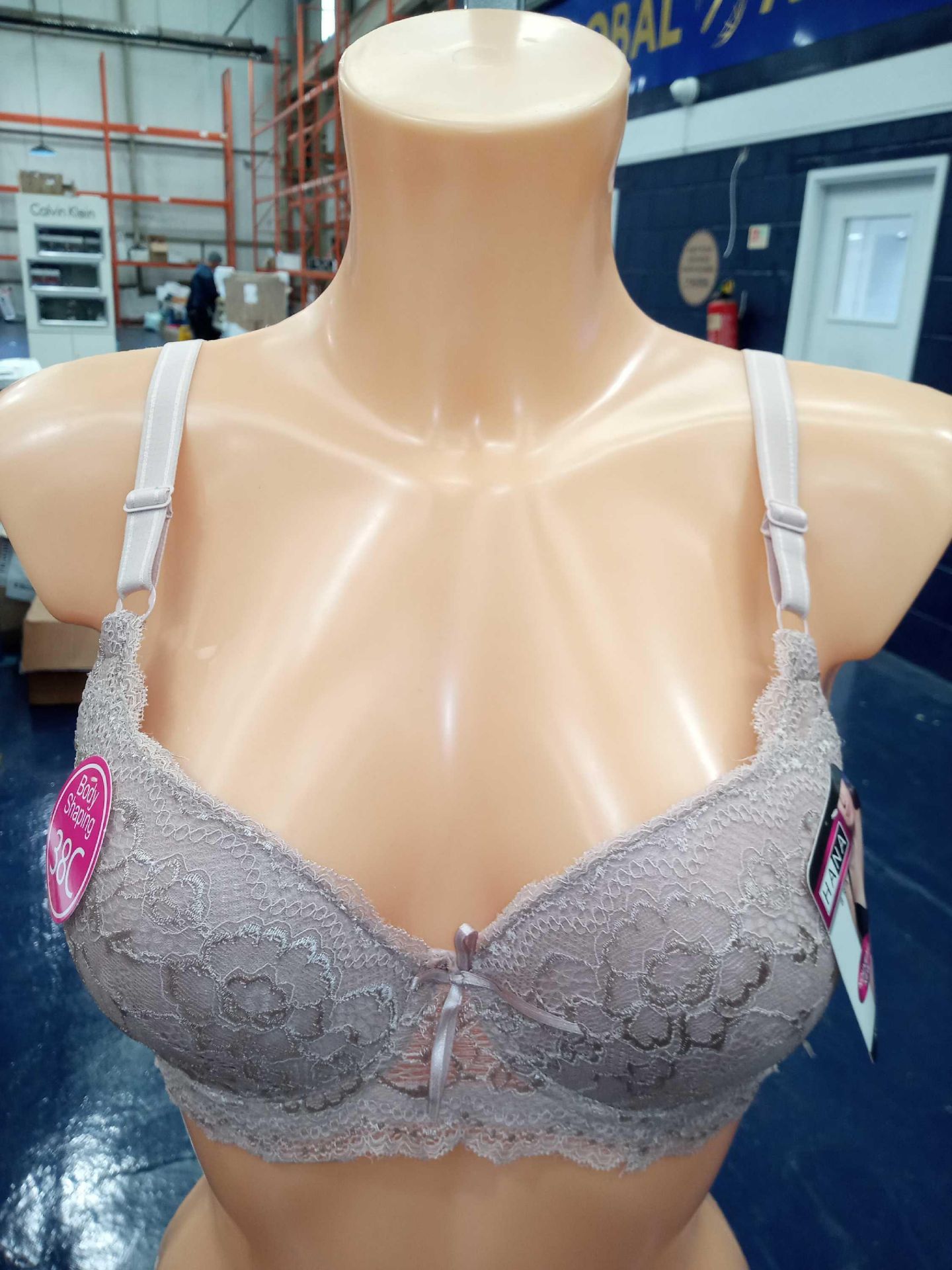 Lot To Contain 3 Brand New Packs Of 6 Hana (393) Size 38 C To 48 C Body Shaping Beige Lace Bras