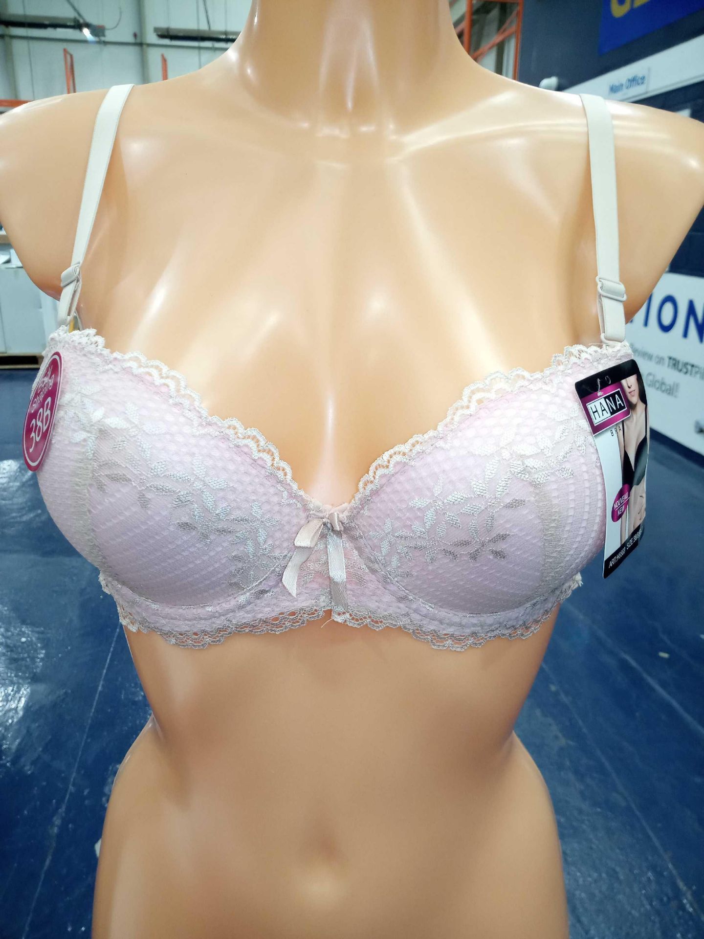 Lot To Contain 3 Brand New Packs Of 6 (H6583) Hana Pink Lace Ladies Bras Size 36B-46B Combined