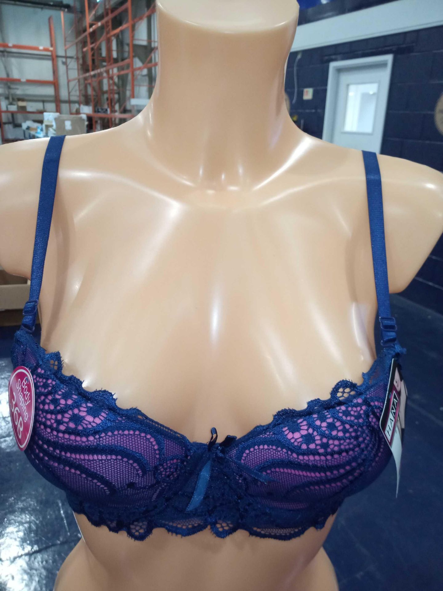 Lots To Contain 3 Brand New 6 And Hanna Blue And Pink (1350) Size Of 36B To 46B Ladies Bras Combined