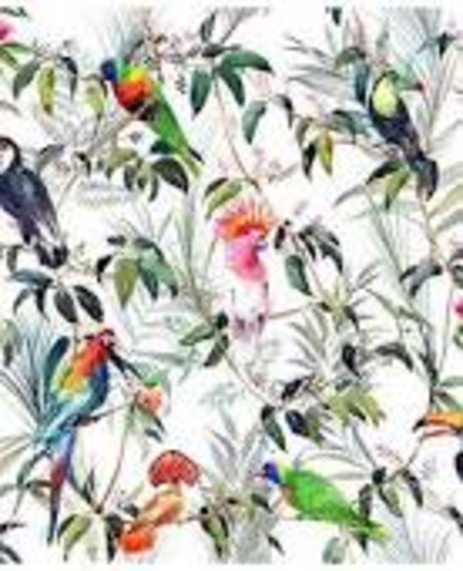 Rrp £100 Lot To Contain 5 Fresco Amazon Tropical - Multi Wallpapers