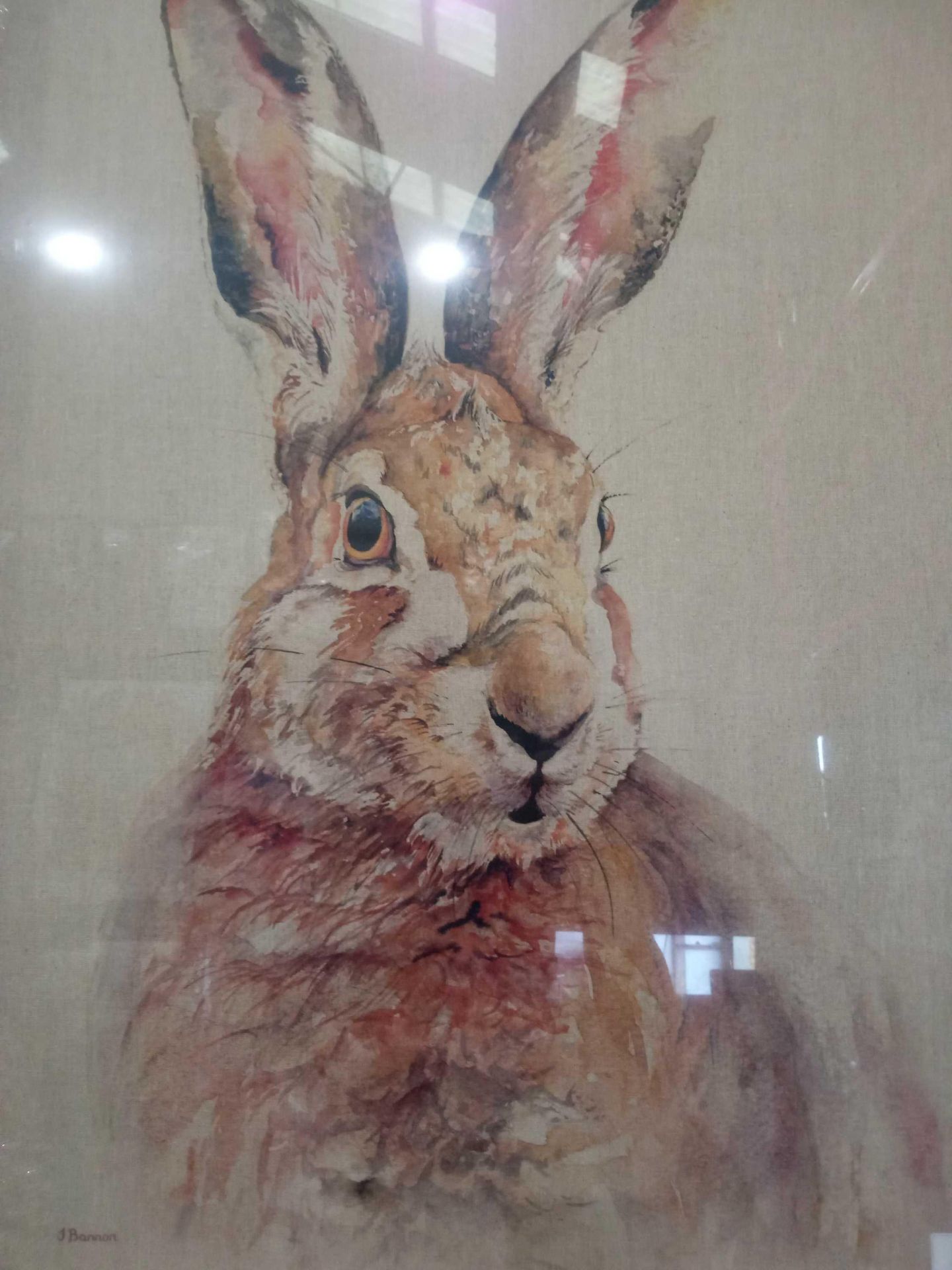 Pippa The Rabbit Giving The Eyes Canvas By Artist Jane Bannon Rrp ¬£55 (18059)(Appraisals