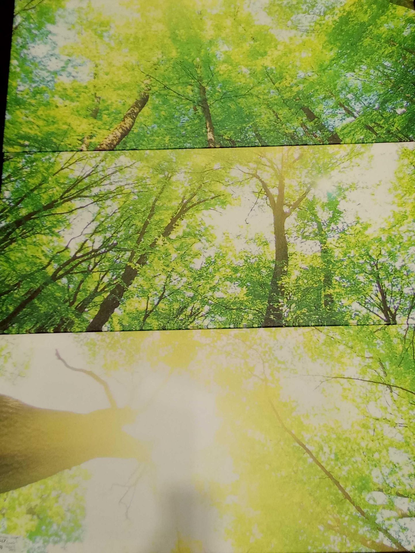 3 Piece Multi Sun Shining Over The Standing Trees Canvas Rrp ¬£100 (15782)(Appraisals Available Upon