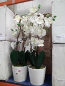 Rrp £50 Each Boxed Schneider Orchids Artificial Potted Plants