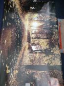 RRP £80 Sunset Forrest Large Wall Canvas