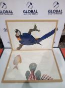 RRP £100 Lot To Contain 2 Assorted Exotic Animal Prints With Frames