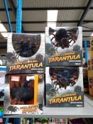 12 X RED5 WALL CLIMBING TARANTULA