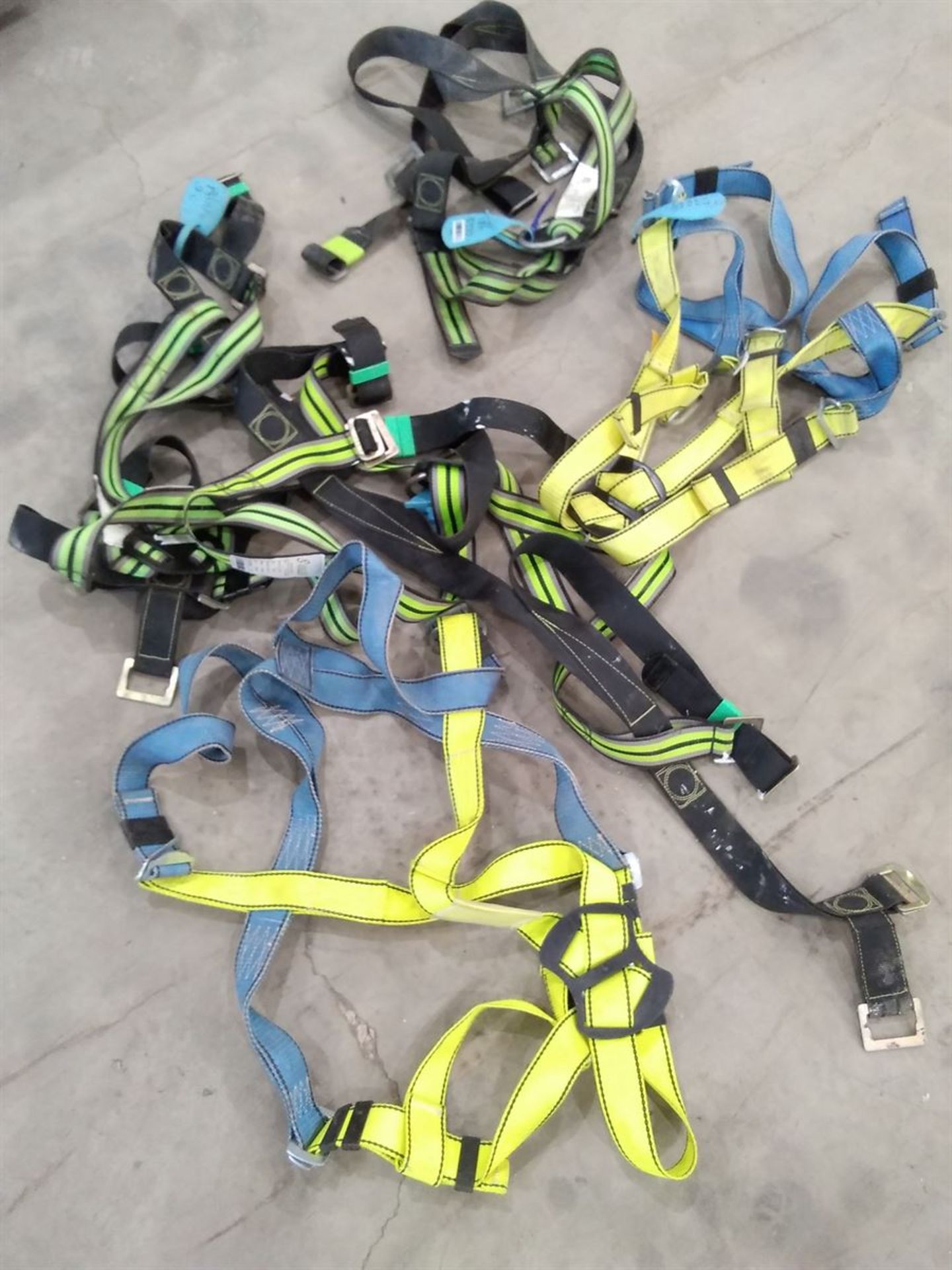 X5 Safety Harness Various Size