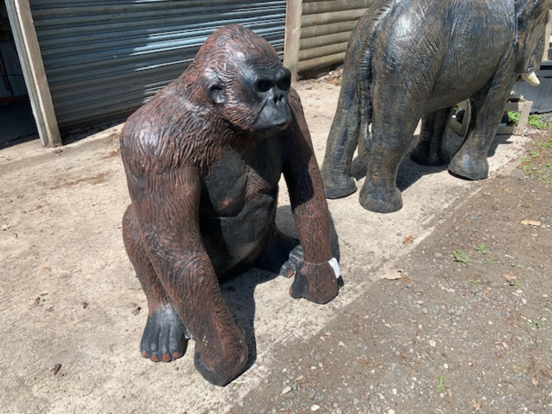 ex - display LARGE GORILLA