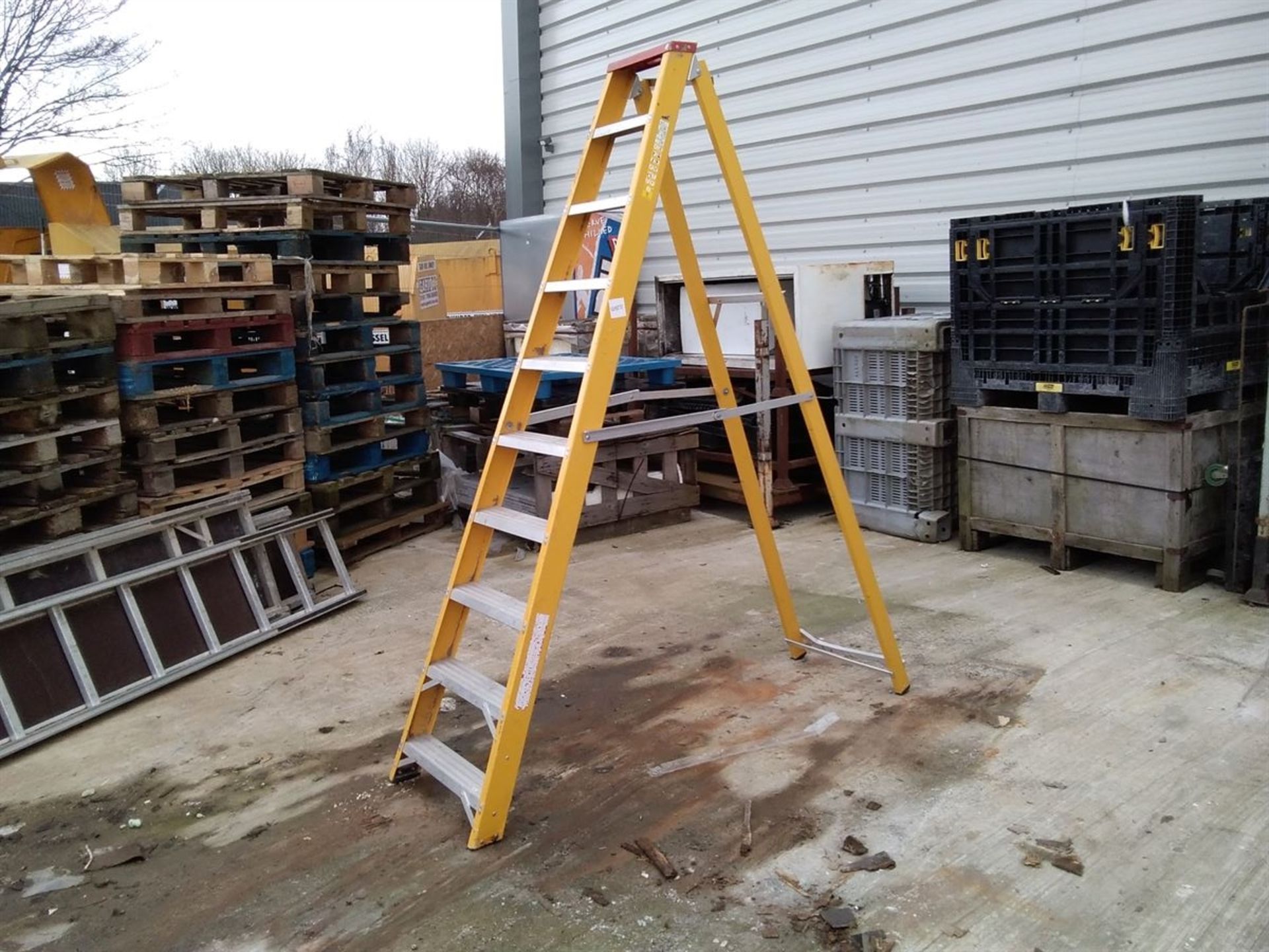 Wingback Aluminum 10 Rung Step Ladder