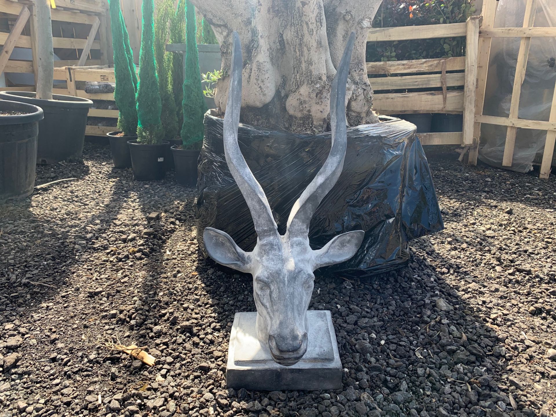 CAST IRON LARGE ANTLER HEAD IN LEAD FINISH