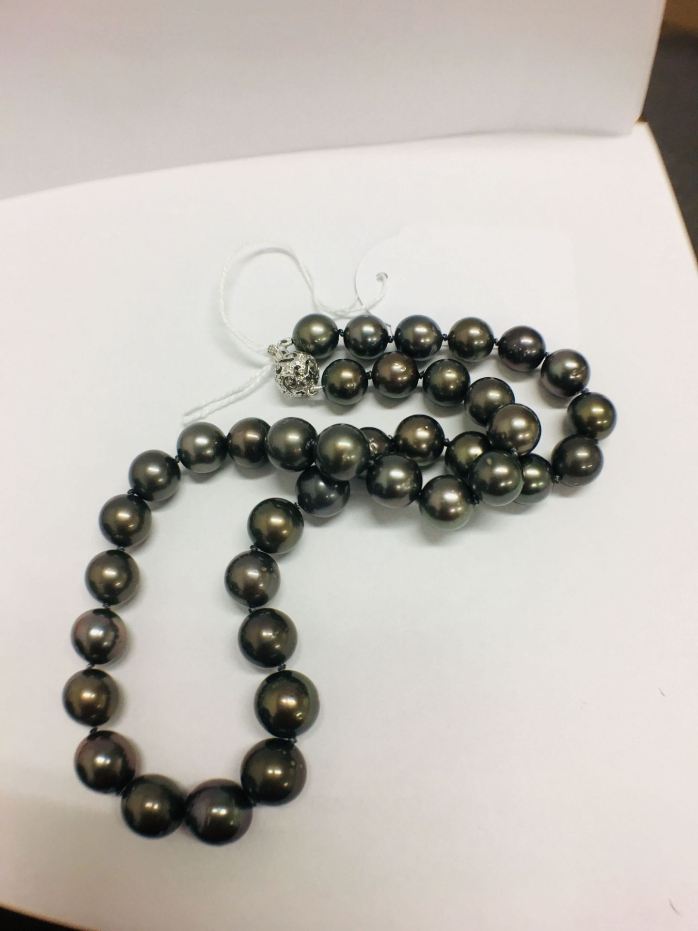 tahitian pearl Necklace