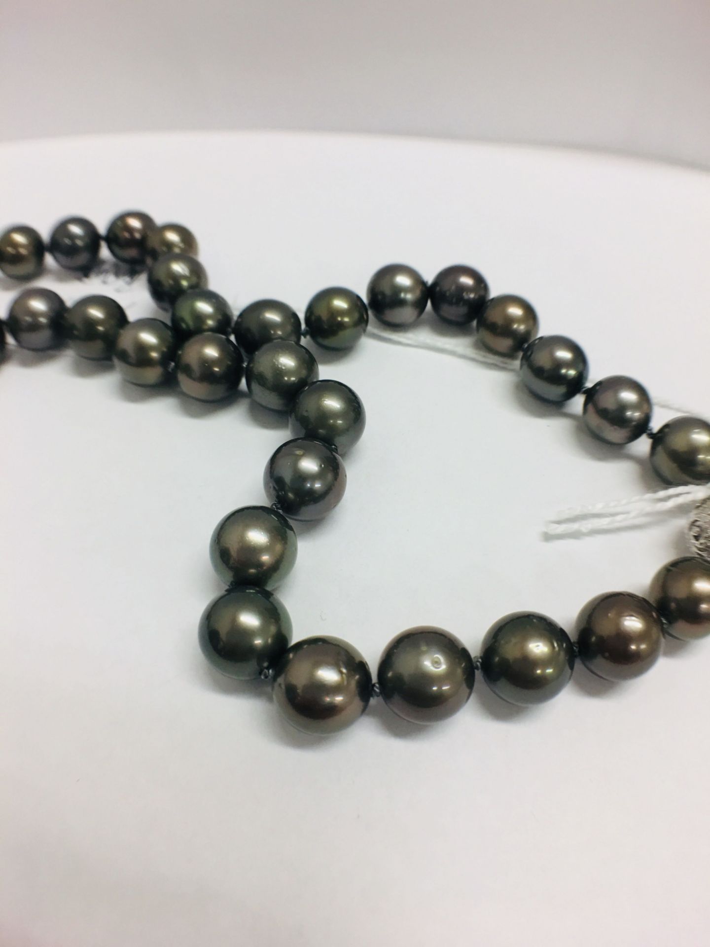 tahitian pearl Necklace - Image 8 of 9