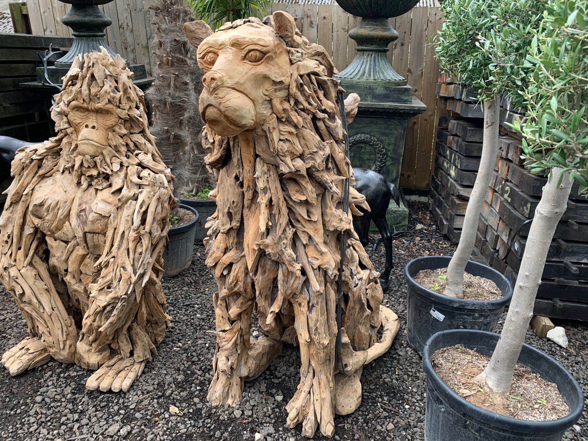 MASSIVE DRIFTWOOD SITTING 5FT TALL LION