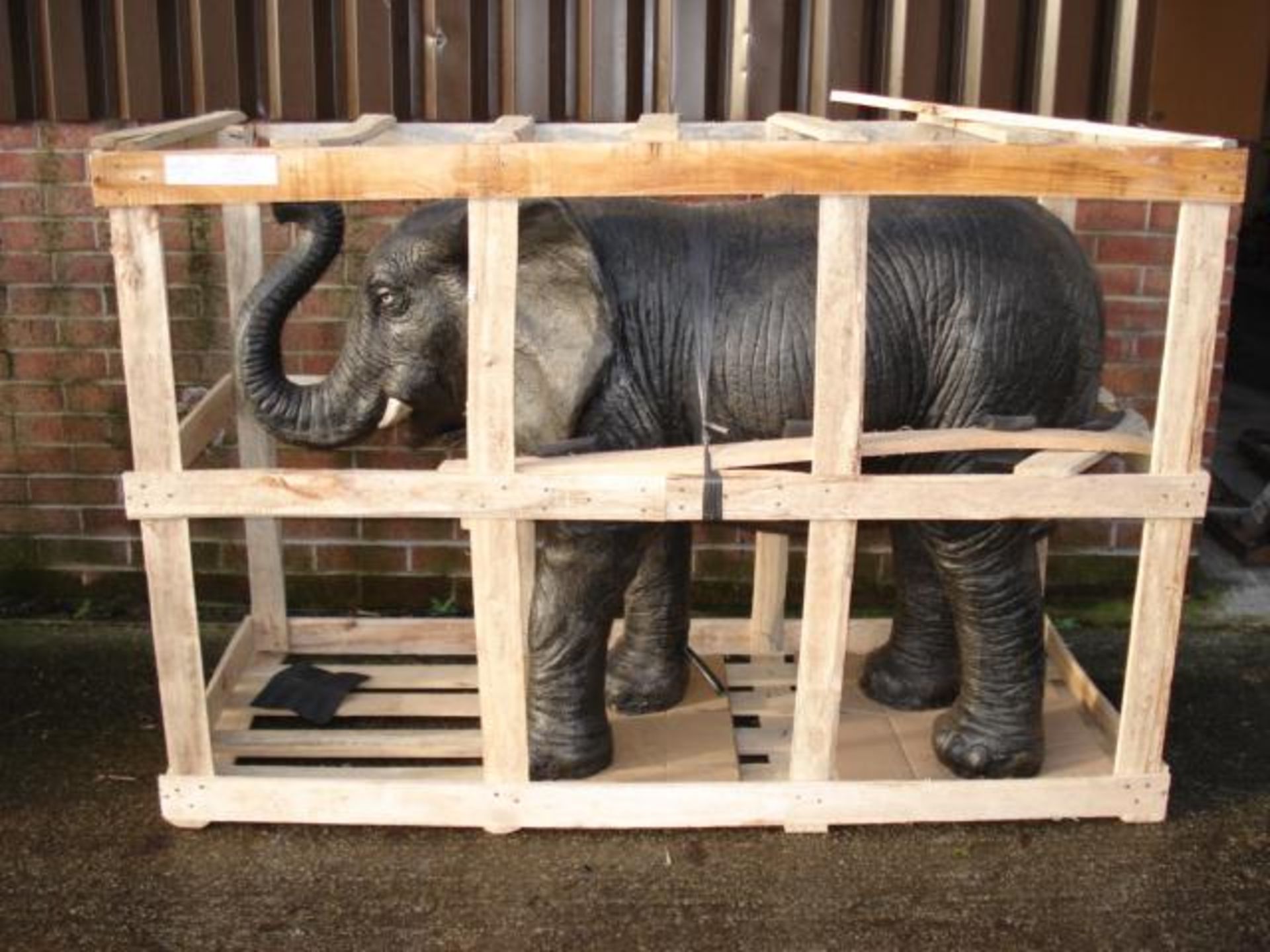 CRATED LARGE BABY ELEPHANT