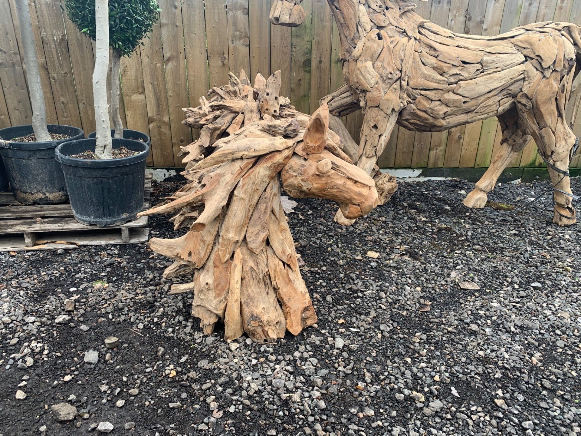 LARGE DRIFTWOOD HORSE HEAD