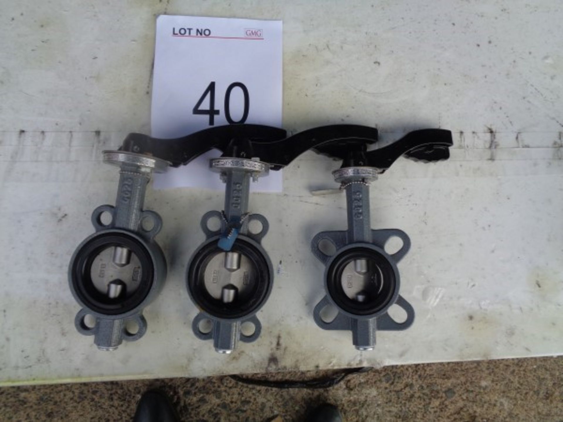 3 x Euro Valve ETW710-t161A CF8m 2.5 hand operated butterfly valves