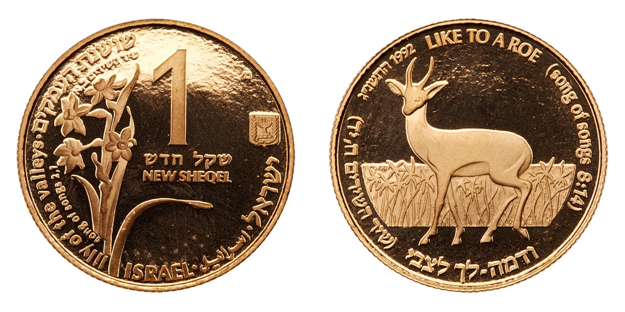 Israel. 1 New Sheqel, 1992. PF