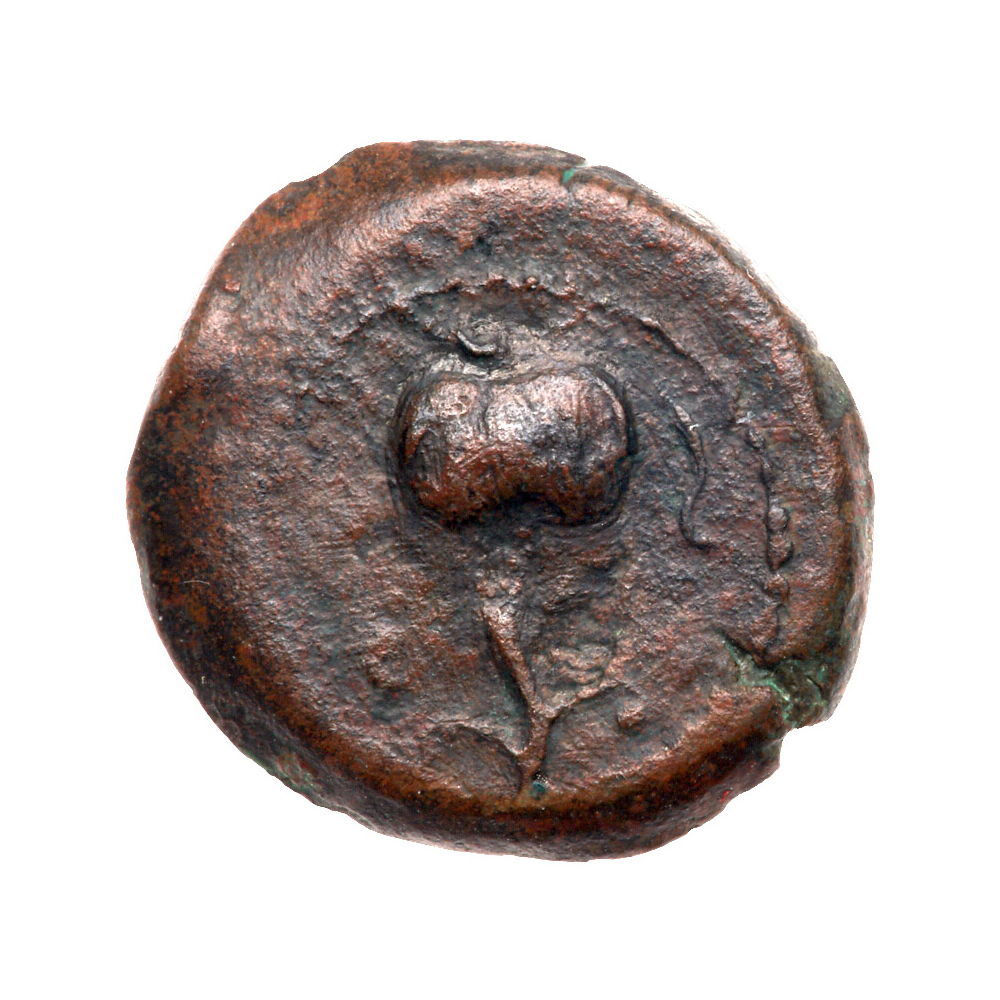 Judaea, Herodian Kingdom. Herod I. Æ 2 Prutot (3.15 g), 40 BCE-4 CE. VF - Image 2 of 3