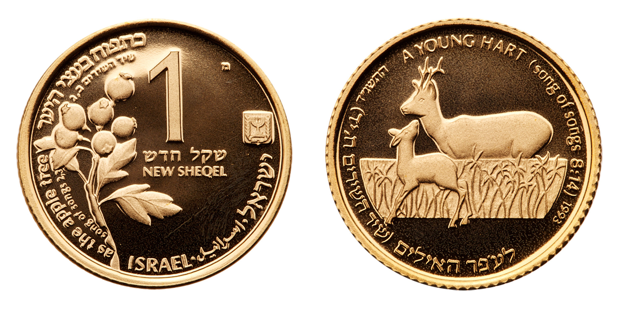 Israel. 1 New Sheqel, 1993. PF