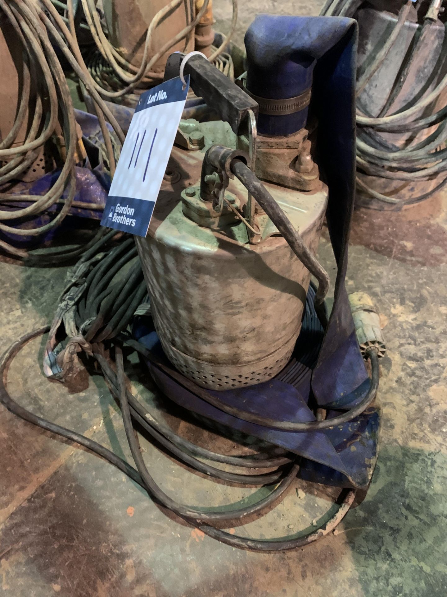 Submersible Pump and Hose, 110v
