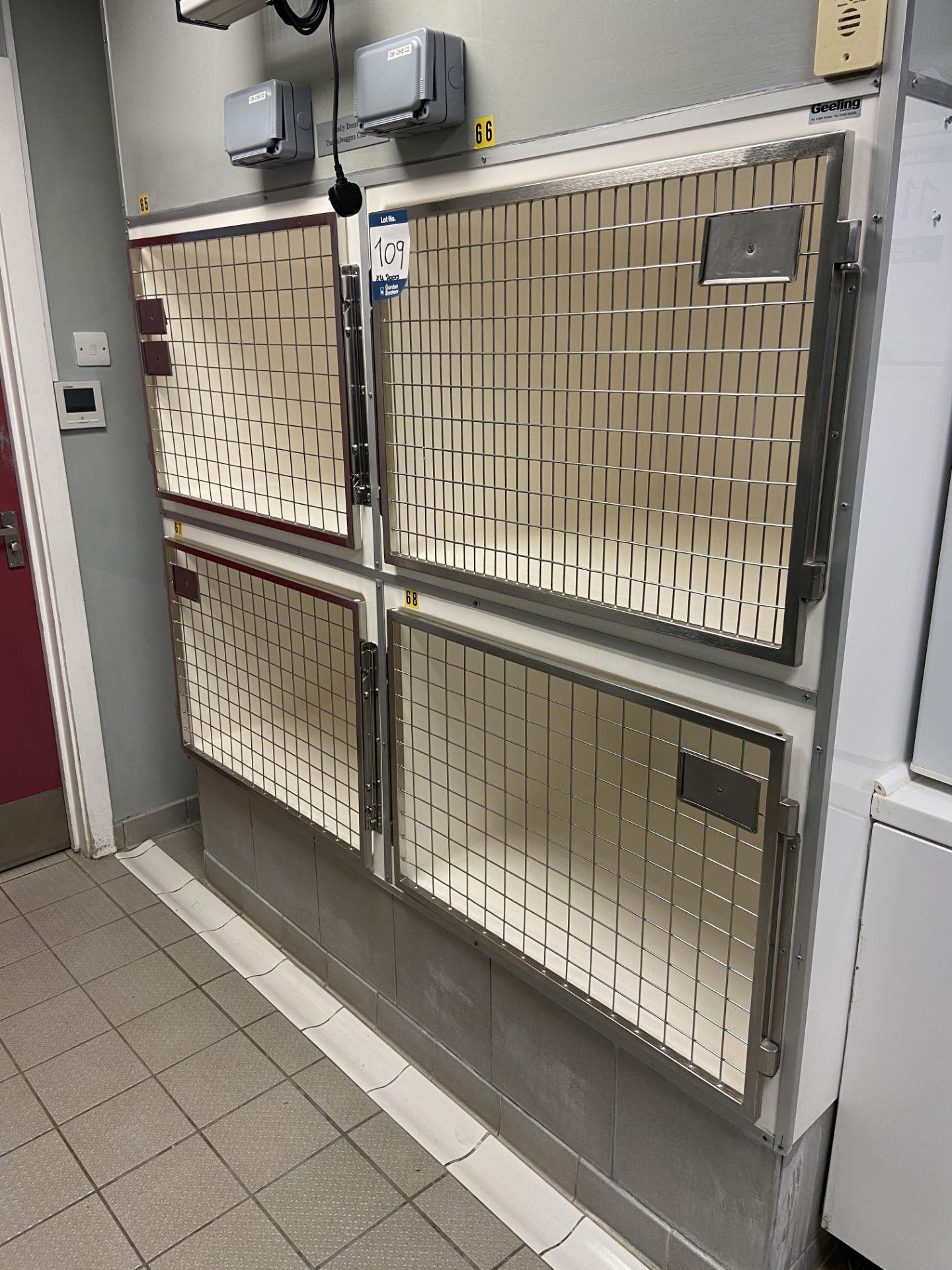 Geeling Ltd bank of 4 feline recovery cage kennels, 800mm x 580mm x 760mm - in Small Animal Clinic