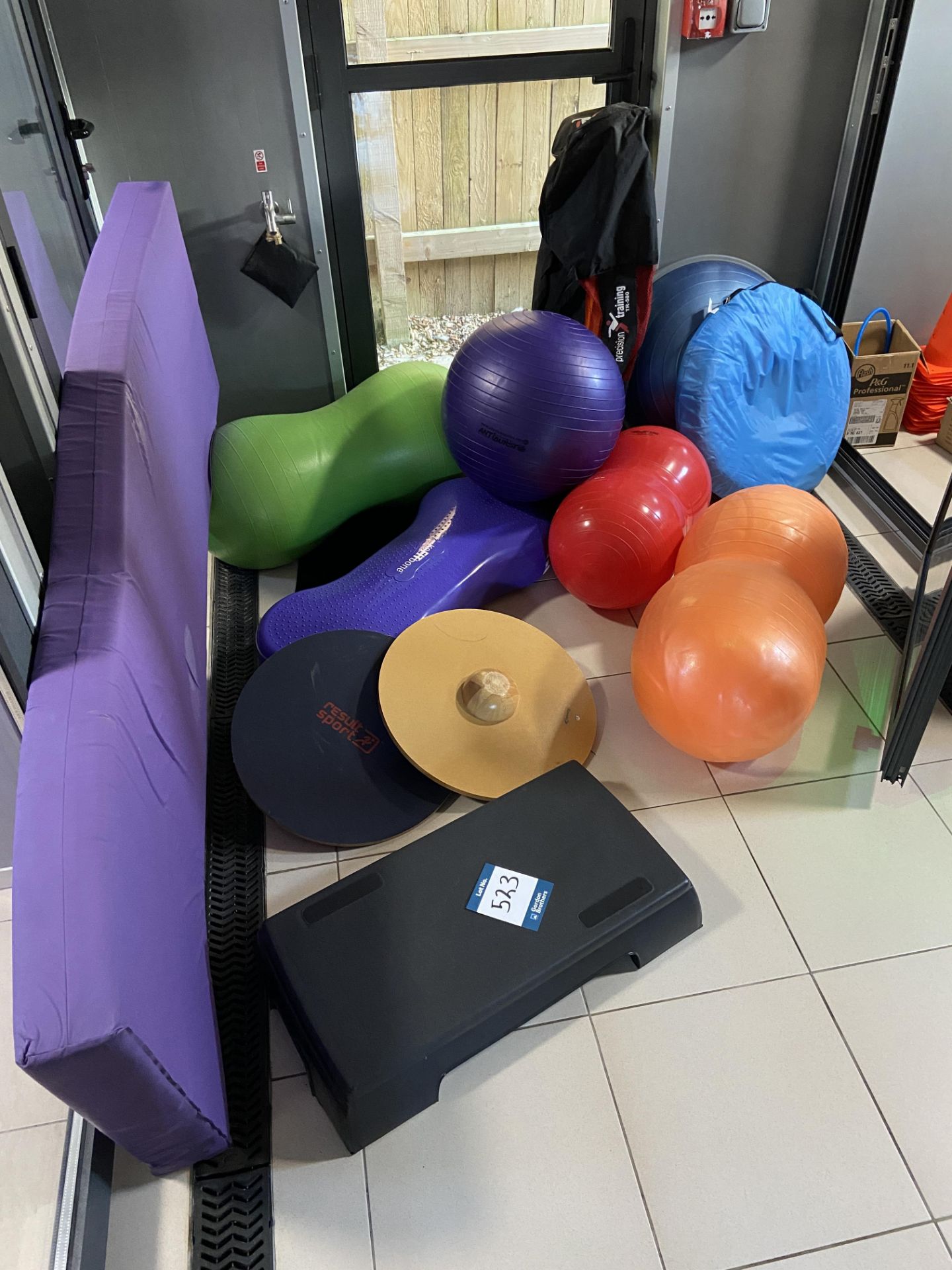 Assorted physiotherapy treatment equipment comprising; mats, inflatables, Bosu ball, etc. -