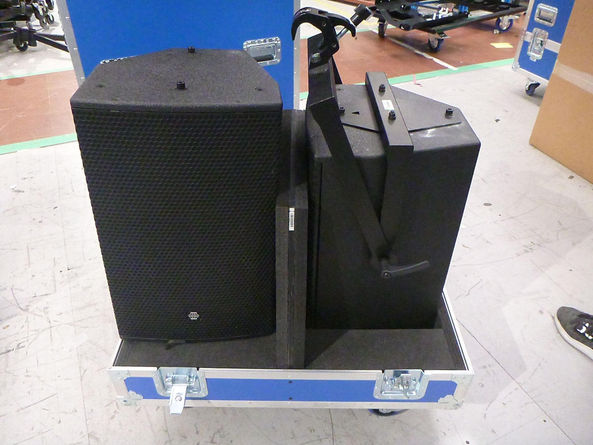 EM Acoustics EMS-129 Wide Dispersion Passive Loudspeakers (Pair) In flight case with 1 x flying