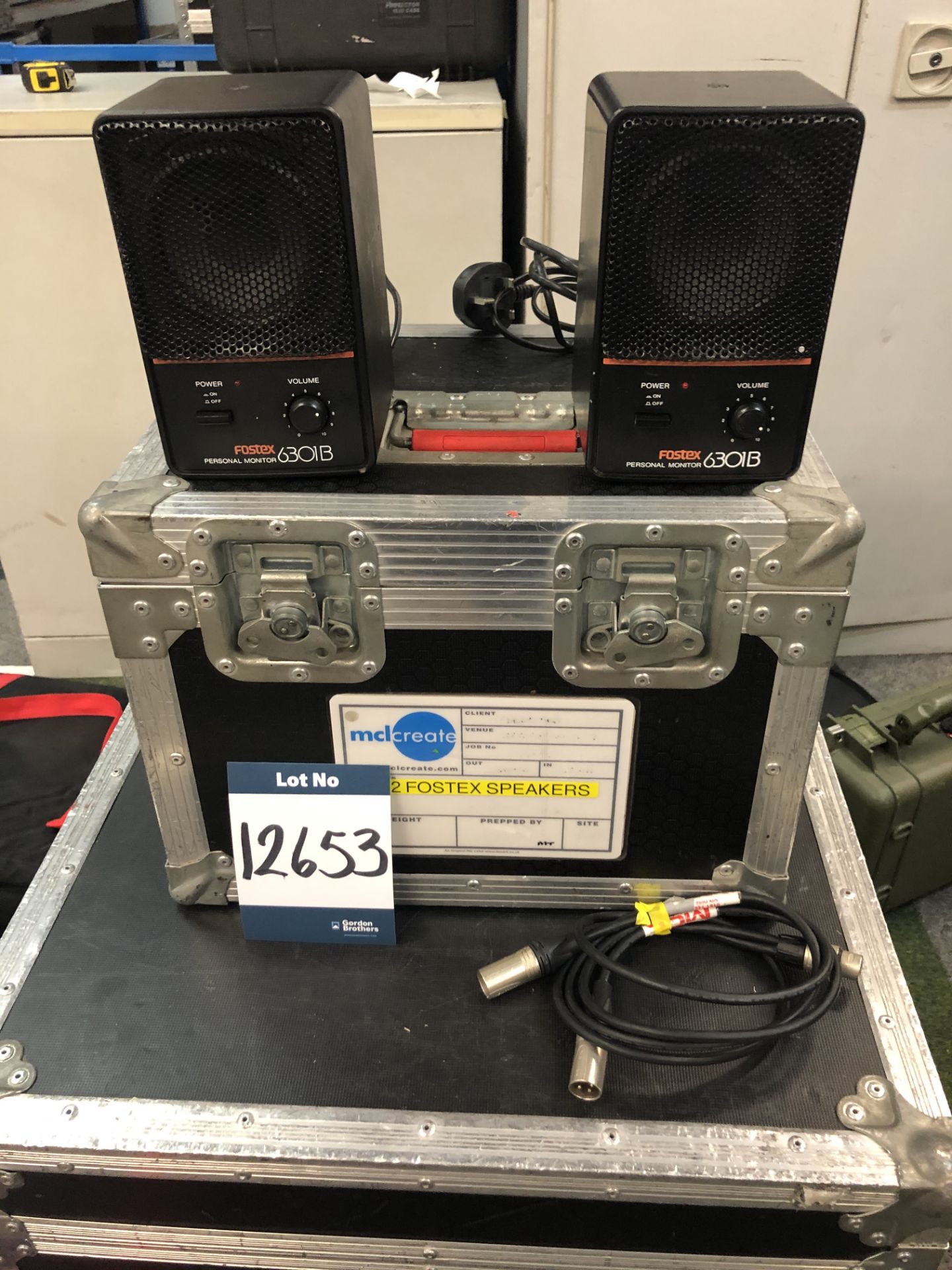 2x Fostex, 6301B3 mini speakers in transit case